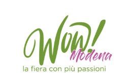 https://wowmodena.it/